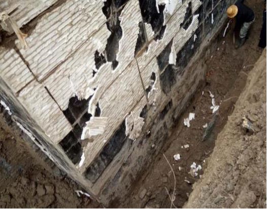 888�ڲ���-����Ϊ��,רҵ����