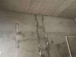 888ÌÚ²©»á-³ÏÐÅΪ±¾,רҵ·þÎñ