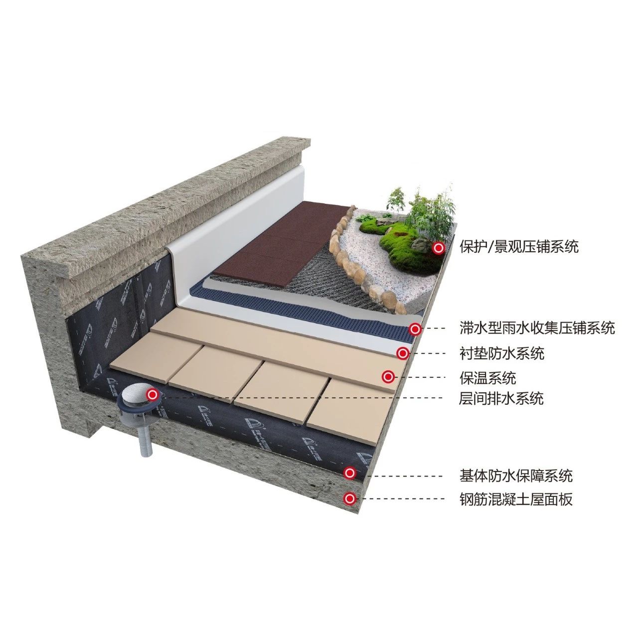 888�ڲ���-����Ϊ��,רҵ����