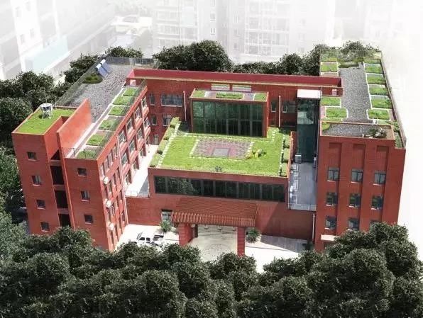 888�ڲ���-����Ϊ��,רҵ����