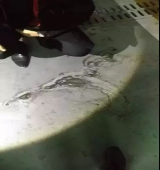 888ÌÚ²©»á-³ÏÐÅΪ±¾,רҵ·þÎñ