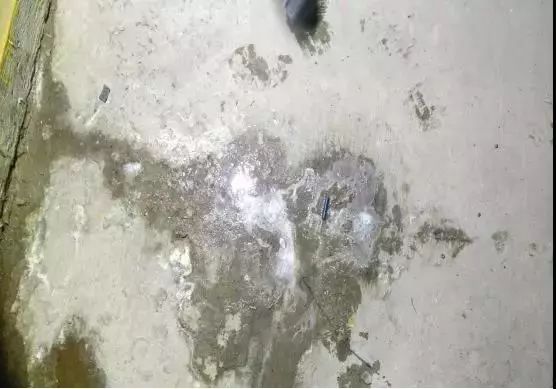 888ÌÚ²©»á-³ÏÐÅΪ±¾,רҵ·þÎñ