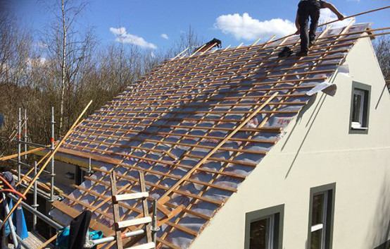 888�ڲ���-����Ϊ��,רҵ����