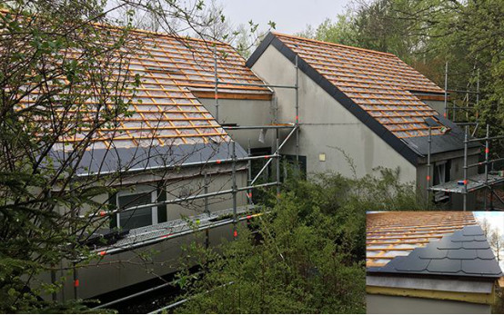 888�ڲ���-����Ϊ��,רҵ����