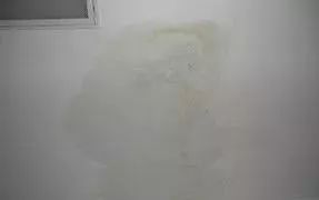 888ÌÚ²©»á-³ÏÐÅΪ±¾,רҵ·þÎñ