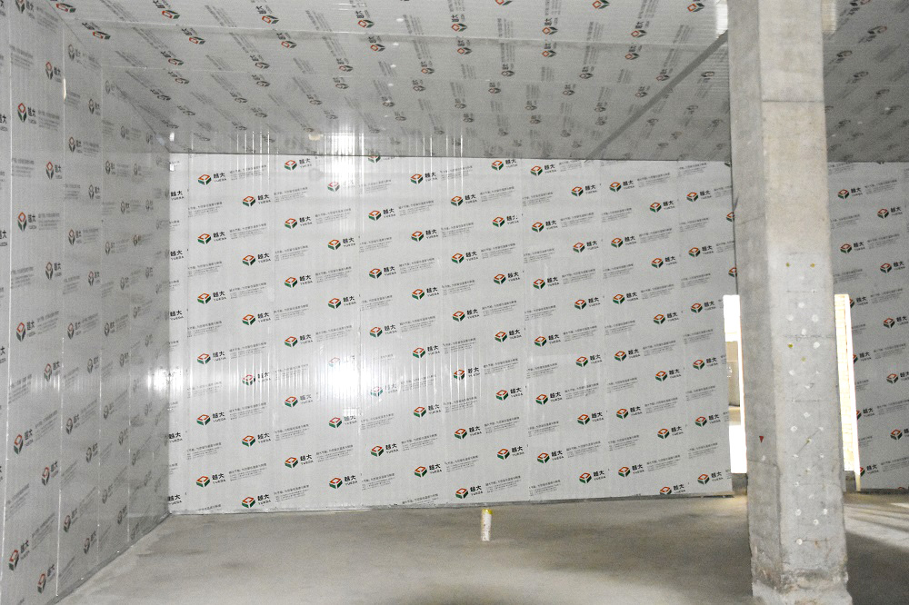 888�ڲ���-����Ϊ��,רҵ����