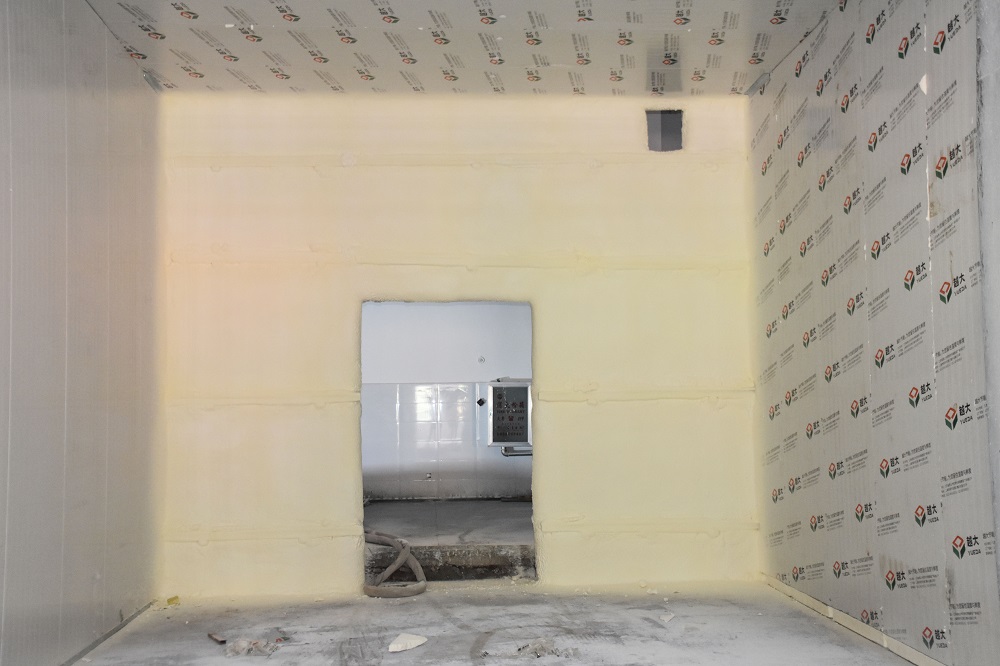 888�ڲ���-����Ϊ��,רҵ����