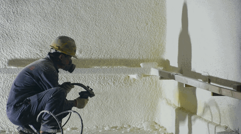 888�ڲ���-����Ϊ��,רҵ����