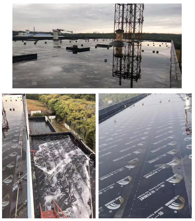 888ÌÚ²©»á-³ÏÐÅΪ±¾,רҵ·þÎñ