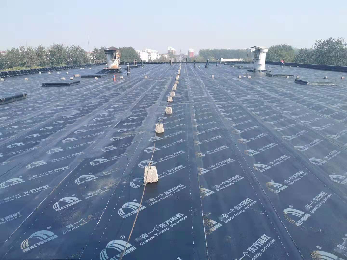 888ÌÚ²©»á-³ÏÐÅΪ±¾,רҵ·þÎñ