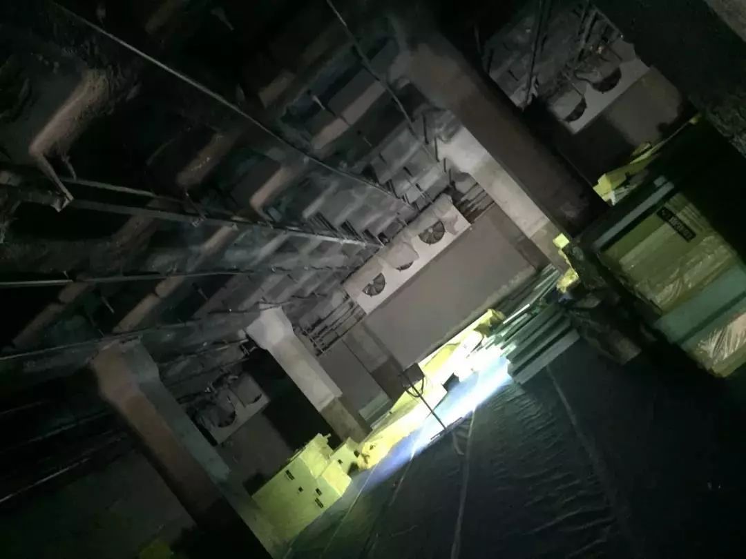 888�ڲ���-����Ϊ��,רҵ����