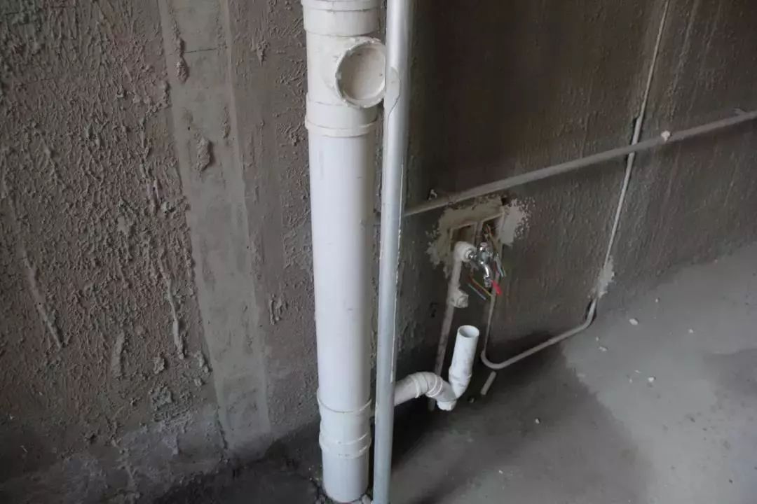 888�ڲ���-����Ϊ��,רҵ����