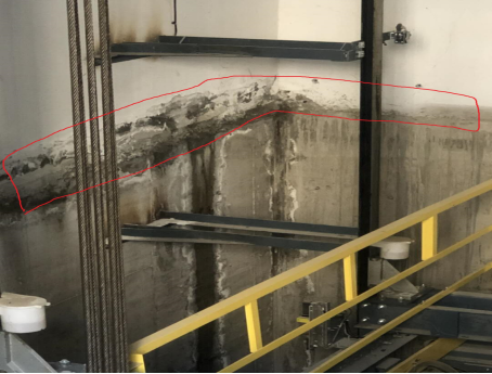 888�ڲ���-����Ϊ��,רҵ����