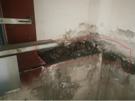 888�ڲ���-����Ϊ��,רҵ����