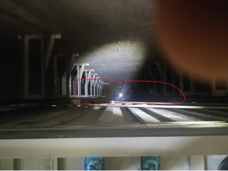 888�ڲ���-����Ϊ��,רҵ����