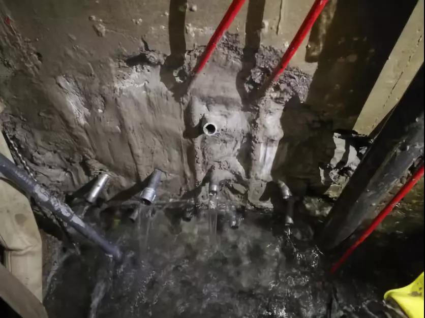 888�ڲ���-����Ϊ��,רҵ����