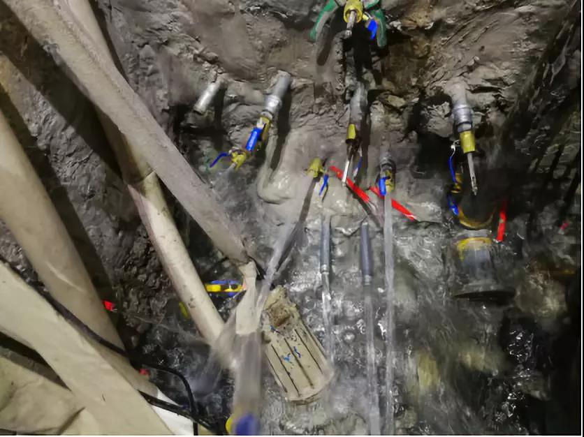 888�ڲ���-����Ϊ��,רҵ����