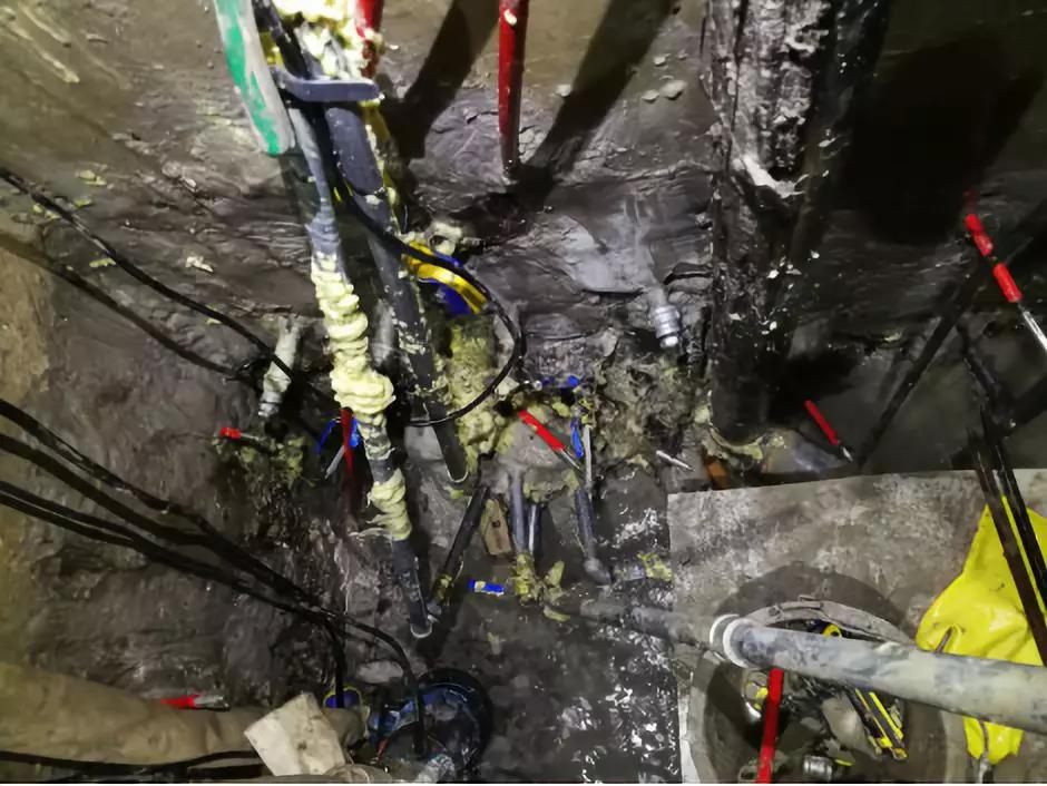 888�ڲ���-����Ϊ��,רҵ����