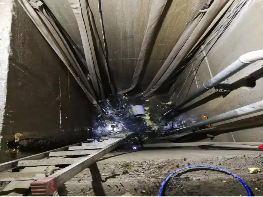 888�ڲ���-����Ϊ��,רҵ����