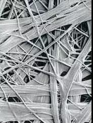 888�ڲ���-����Ϊ��,רҵ����