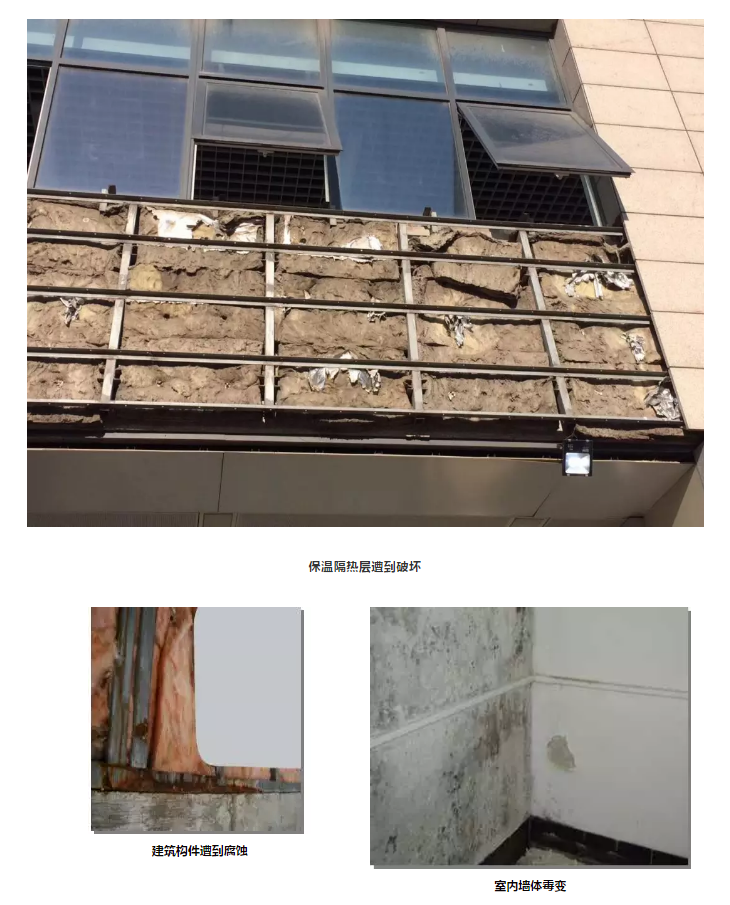 888�ڲ���-����Ϊ��,רҵ����