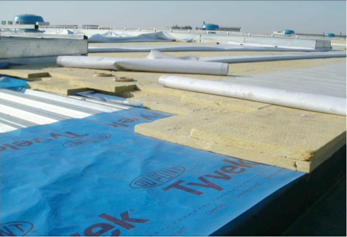 888�ڲ���-����Ϊ��,רҵ����