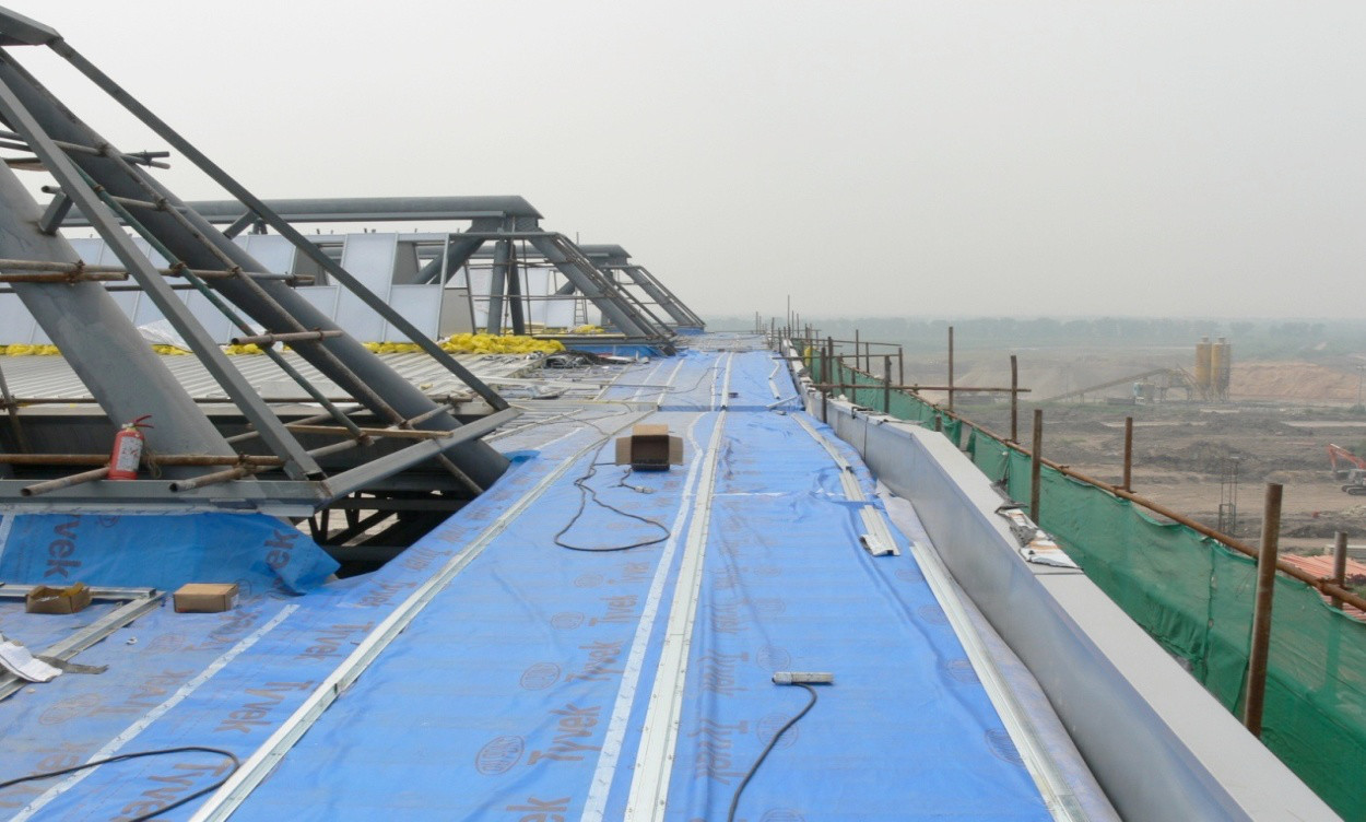 888�ڲ���-����Ϊ��,רҵ����