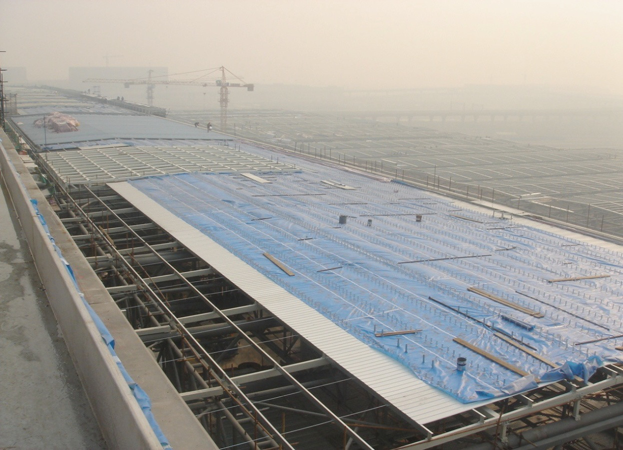 888�ڲ���-����Ϊ��,רҵ����