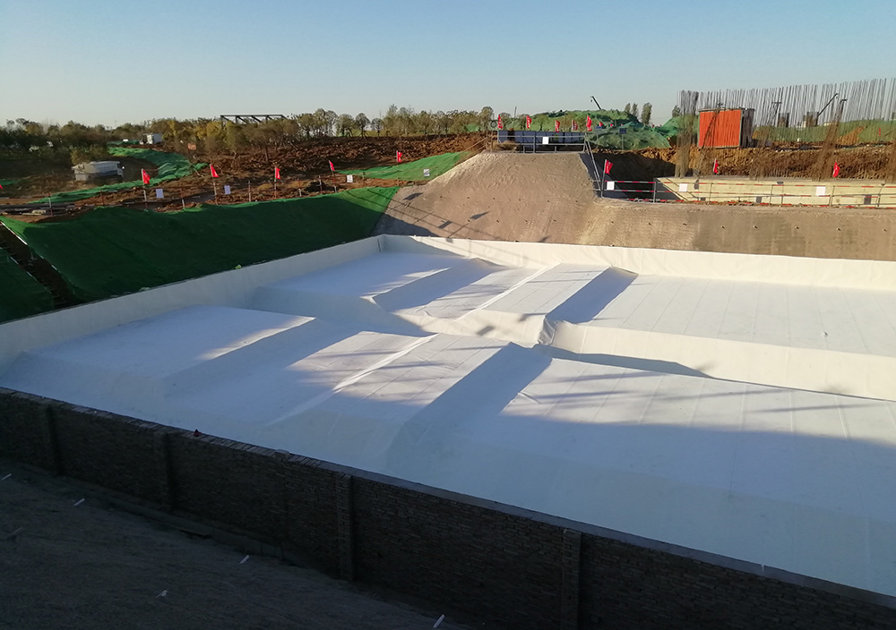 888�ڲ���-����Ϊ��,רҵ����