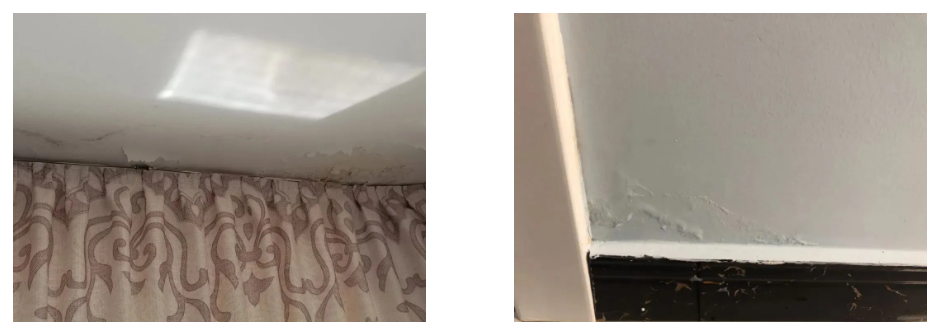 888�ڲ���-����Ϊ��,רҵ����