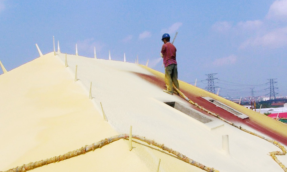 888�ڲ���-����Ϊ��,רҵ����