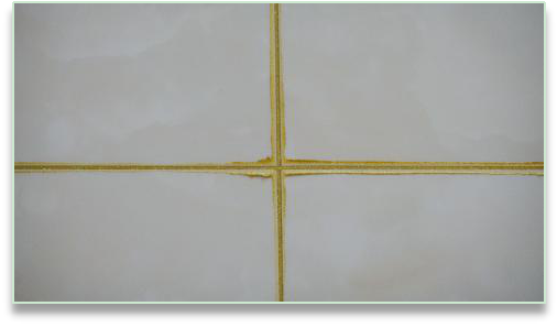 888�ڲ���-����Ϊ��,רҵ����