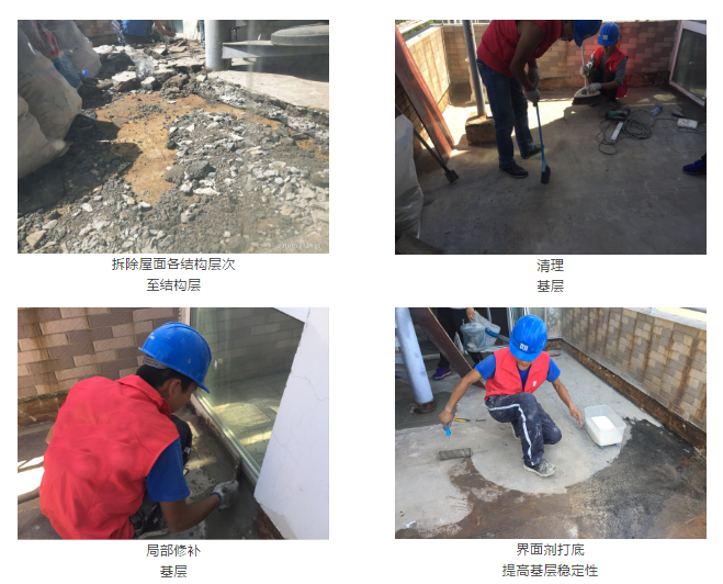 888�ڲ���-����Ϊ��,רҵ����