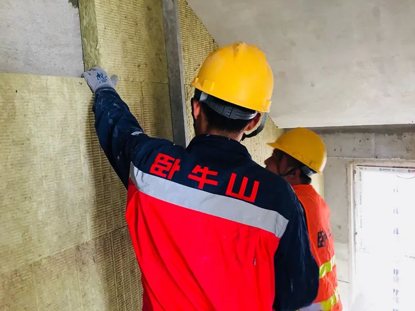 888�ڲ���-����Ϊ��,רҵ����