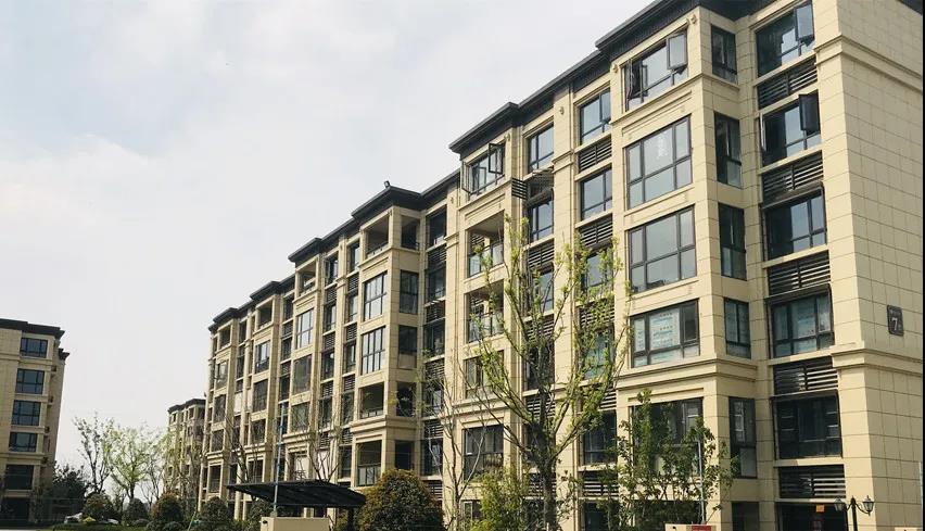 888�ڲ���-����Ϊ��,רҵ����