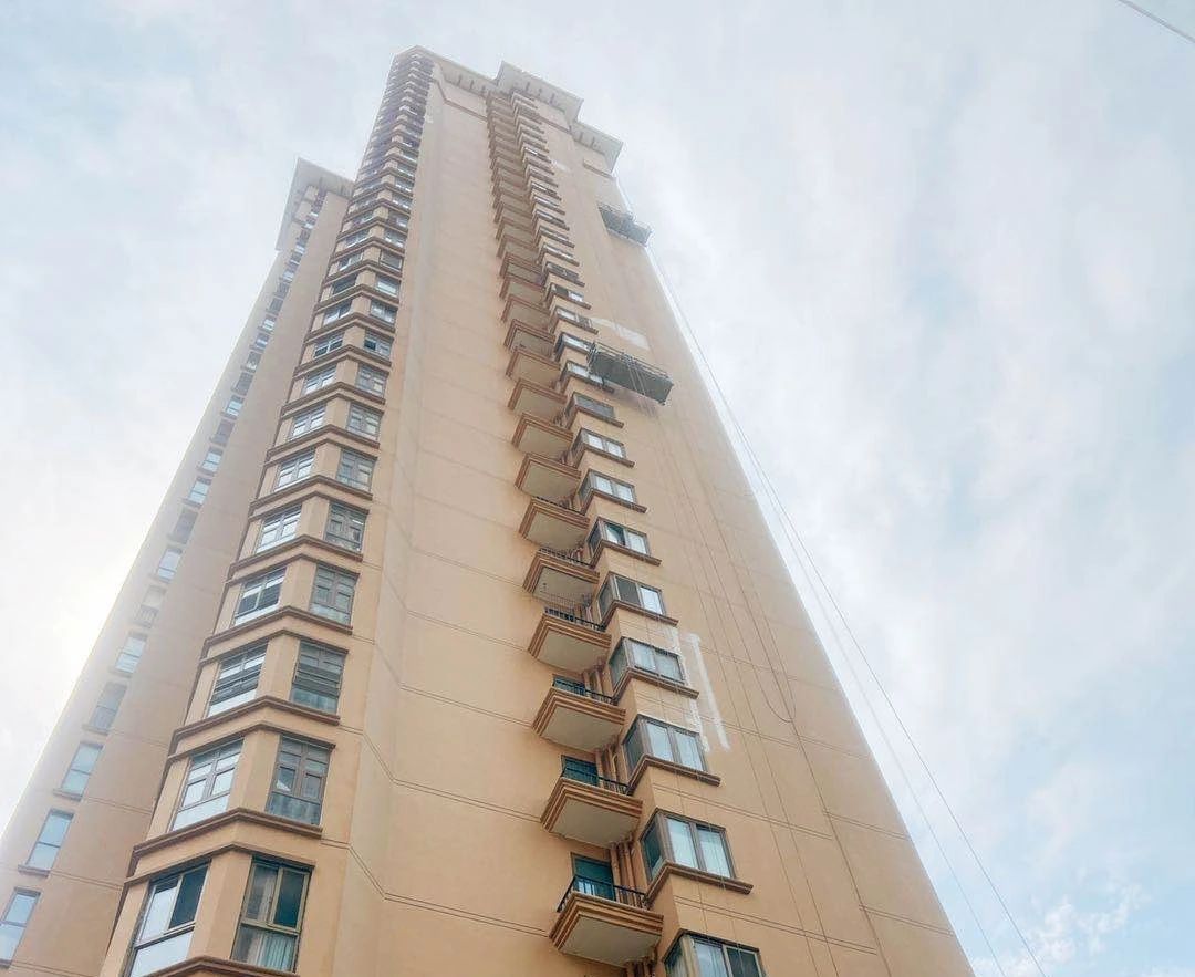 888�ڲ���-����Ϊ��,רҵ����