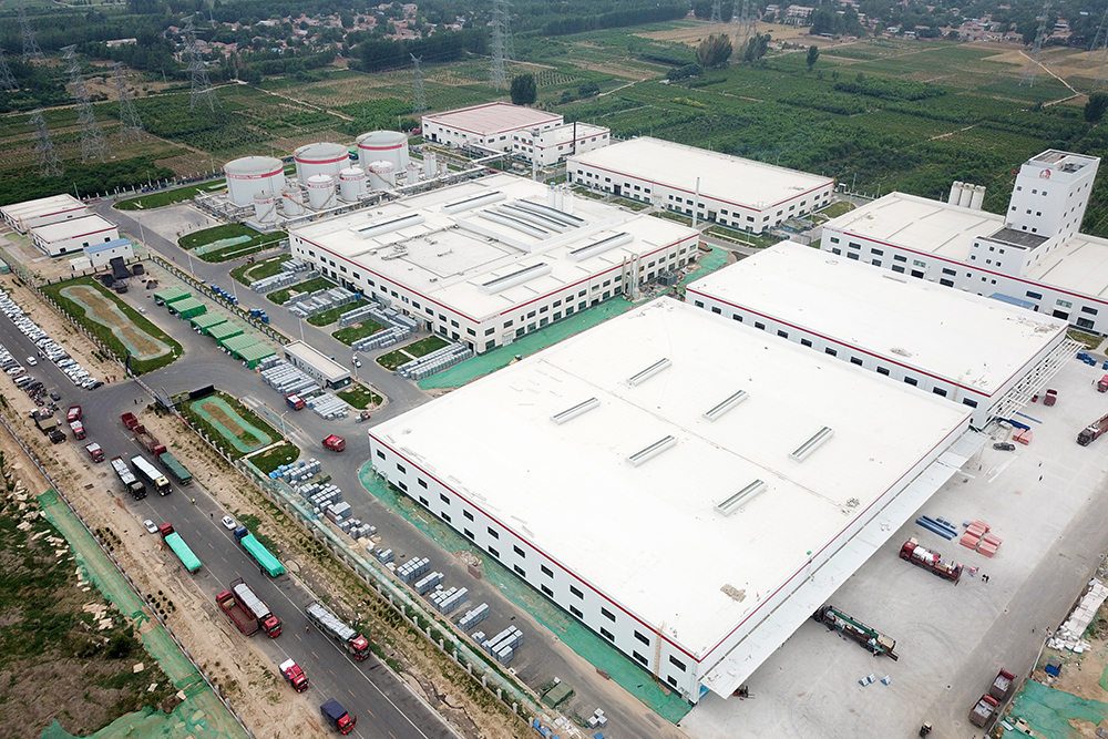 888�ڲ���-����Ϊ��,רҵ����