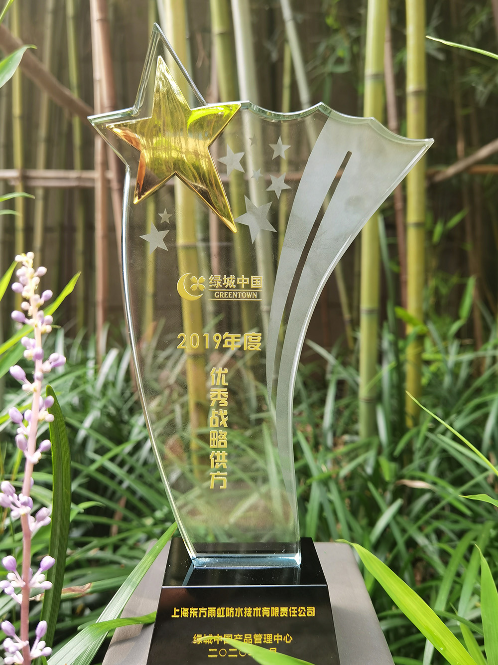 888�ڲ���-����Ϊ��,רҵ����