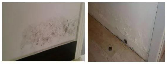 888�ڲ���-����Ϊ��,רҵ����