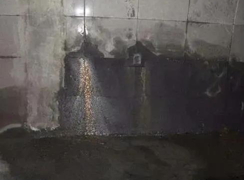 888�ڲ���-����Ϊ��,רҵ����