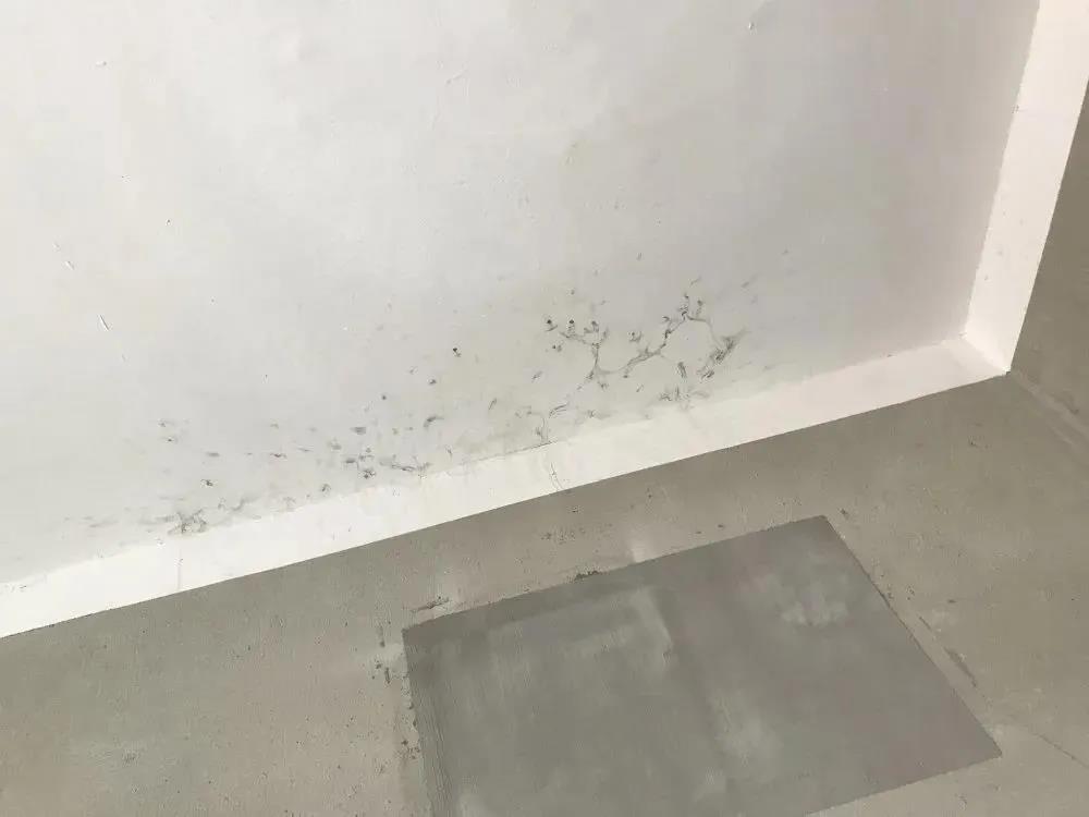 888�ڲ���-����Ϊ��,רҵ����