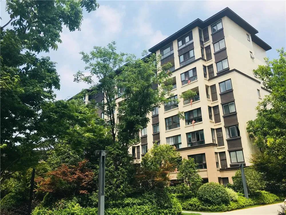 888�ڲ���-����Ϊ��,רҵ����