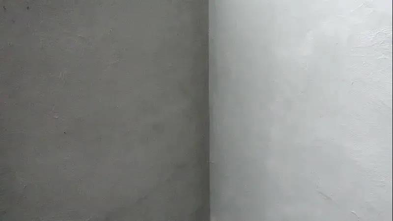 888�ڲ���-����Ϊ��,רҵ����