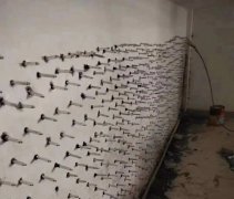 888�ڲ���-����Ϊ��,רҵ����