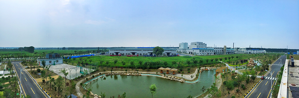 888�ڲ���-����Ϊ��,רҵ����