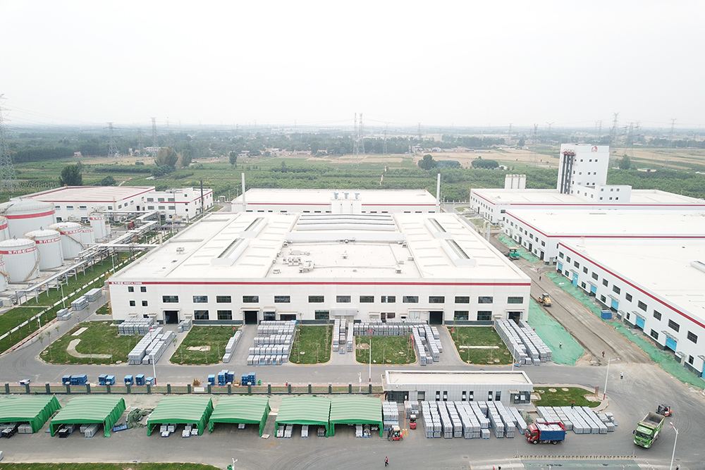 888�ڲ���-����Ϊ��,רҵ����