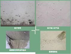 888�ڲ���-����Ϊ��,רҵ����