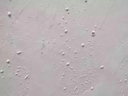 888�ڲ���-����Ϊ��,רҵ����