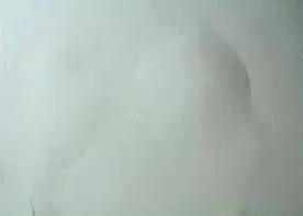 888�ڲ���-����Ϊ��,רҵ����