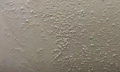 888�ڲ���-����Ϊ��,רҵ����